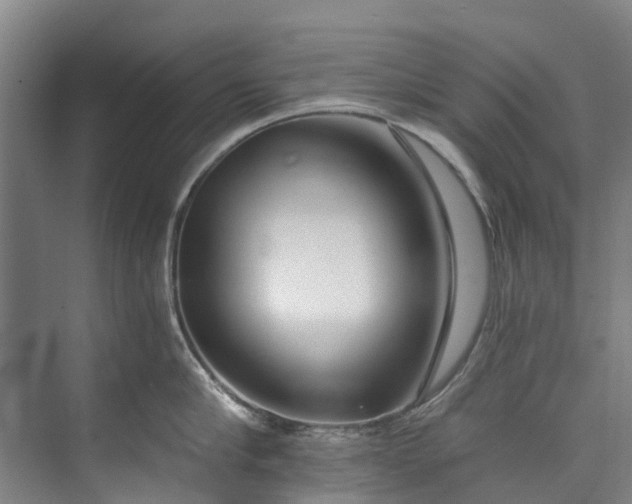 X0000072950910200608041304