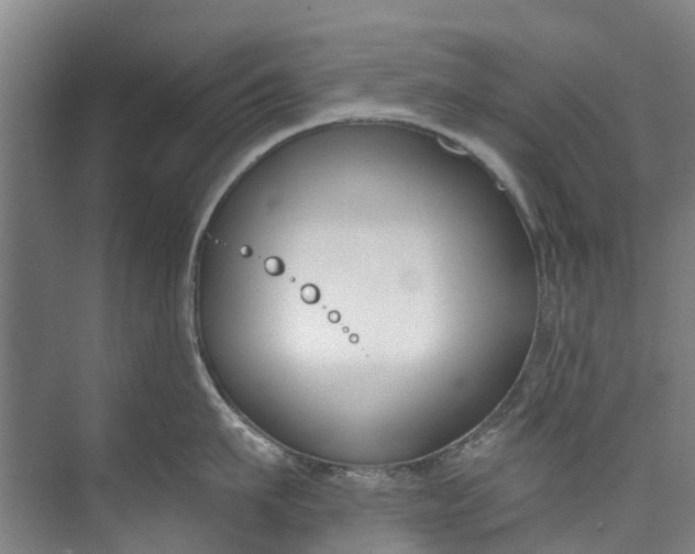 X0000072950911200608041304