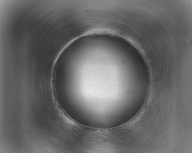 X0000072950912200608041304