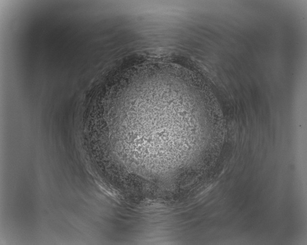 X0000072950913200608041303