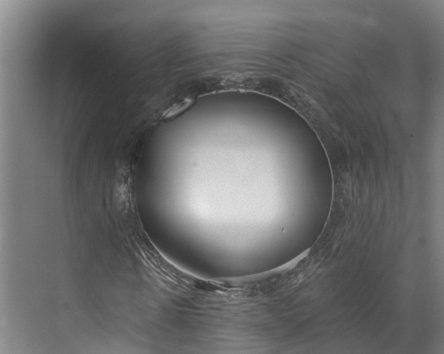 X0000072950914200608041303