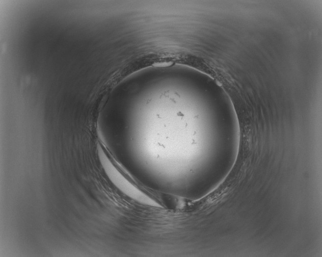 X0000072950916200608041303