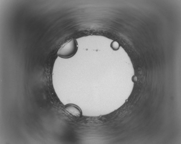 X0000072950918200608041304