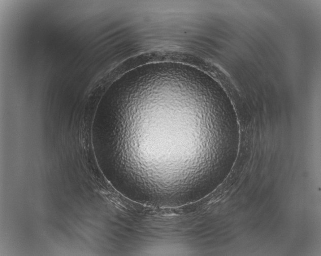 X0000072950919200608041304