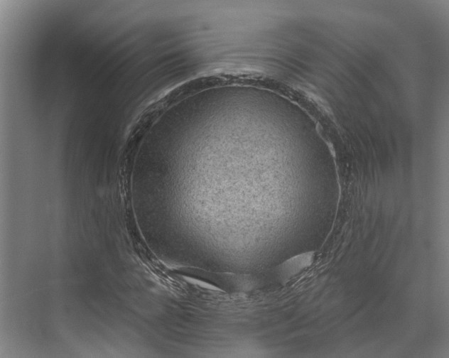 X0000072950920200608041304