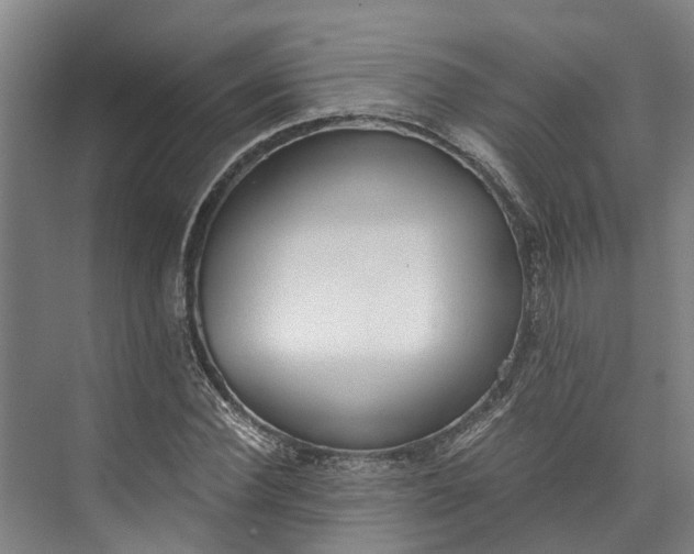 X0000072950924200608041304