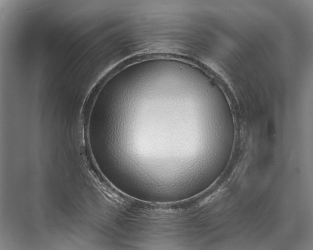 X0000072950925200608041304