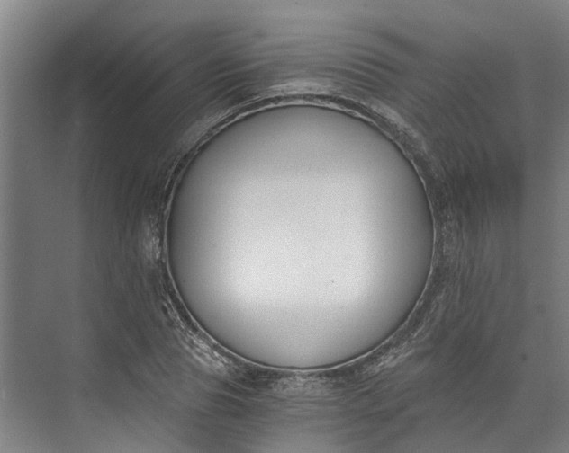 X0000072950929200608041304