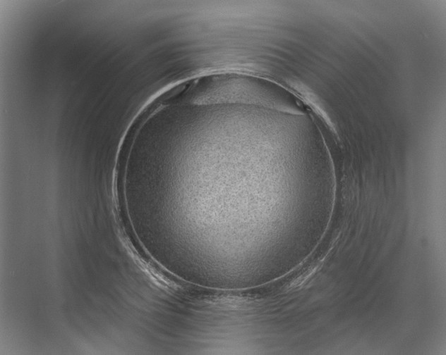 X0000072950932200608041304