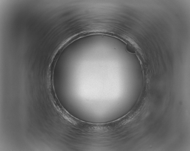 X0000072950933200608041304