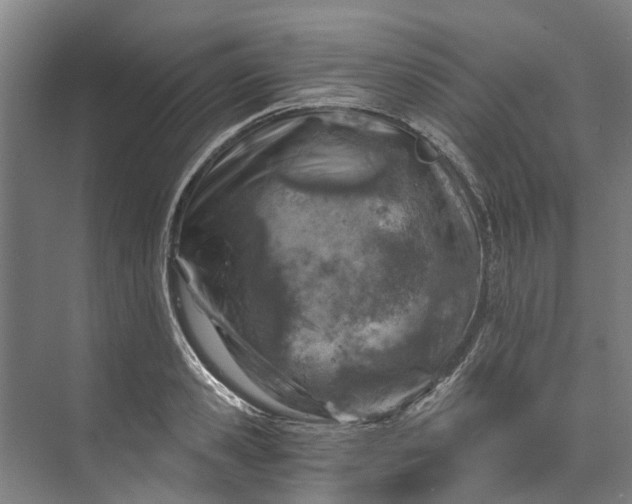 X0000072950941200608041304