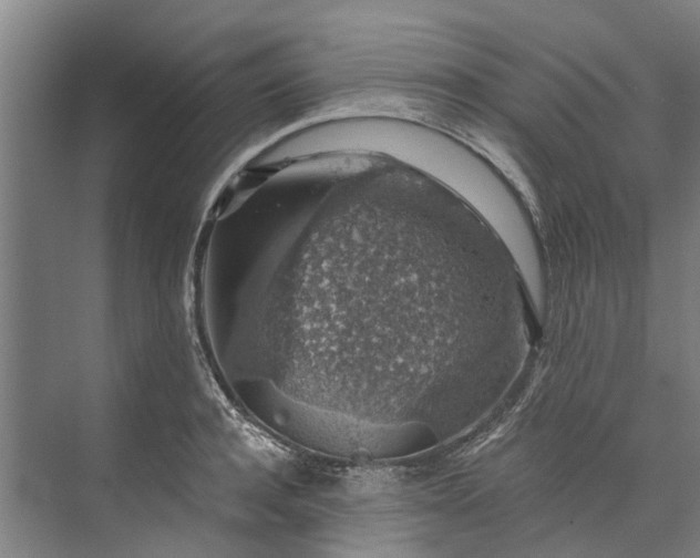 X0000072950944200608041304