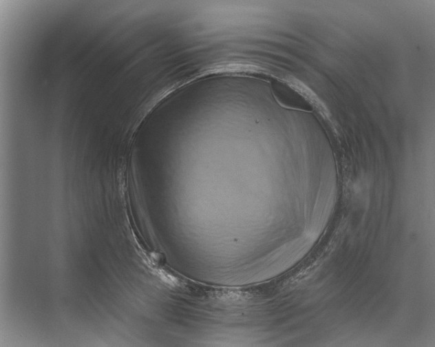 X0000072950945200608041304