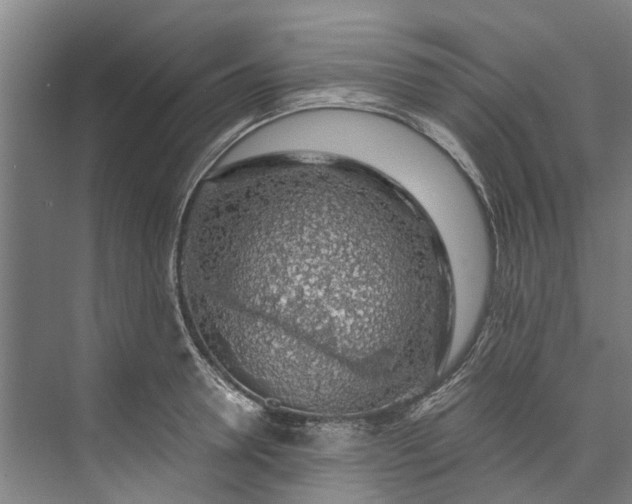 X0000072950946200608041304