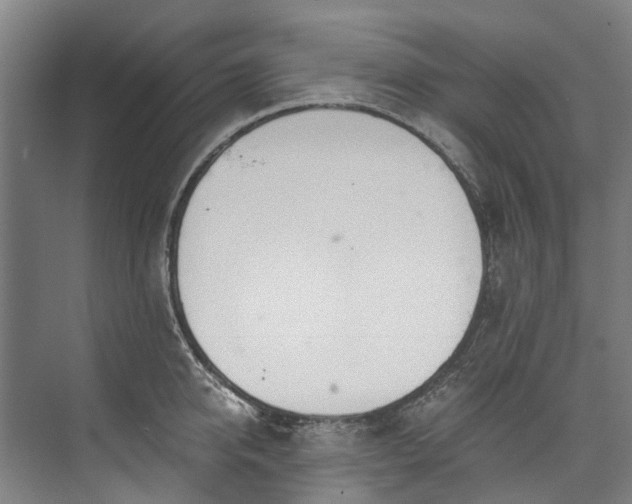 X0000072950950200608041304