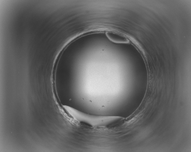 X0000072950951200608041304