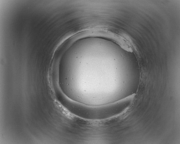 X0000072950952200608041304