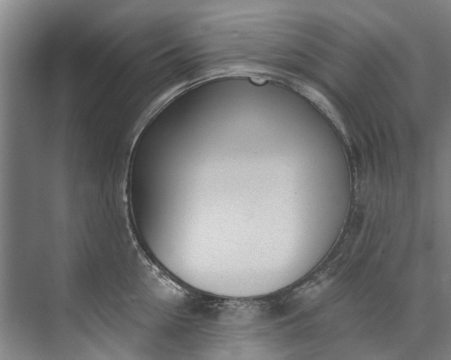 X0000072950954200608041304