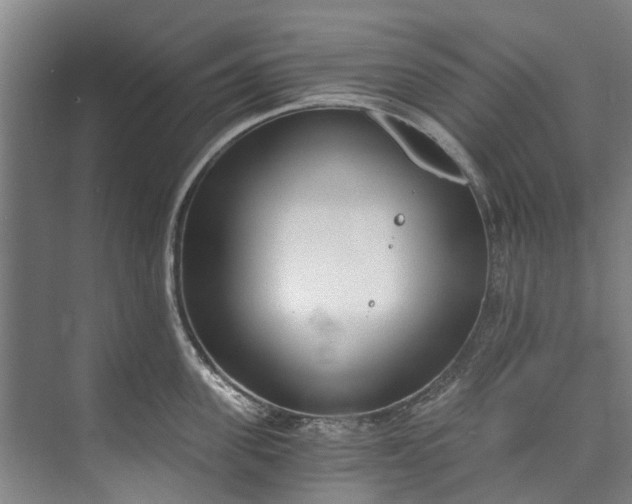 X0000072950955200608041304