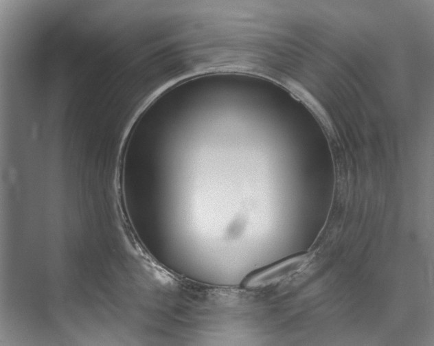 X0000072950956200608041304