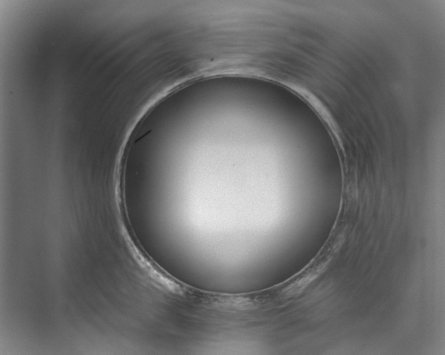 X0000072950957200608041304