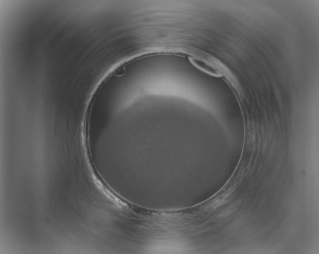 X0000072950958200608041304