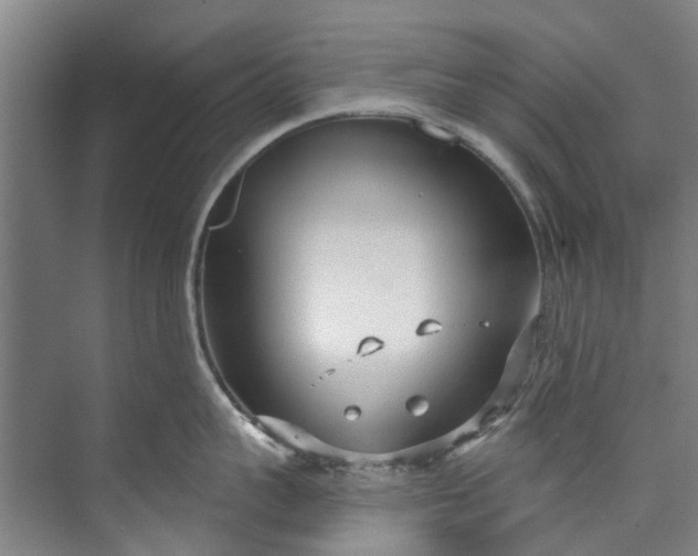 X0000072950959200608041304