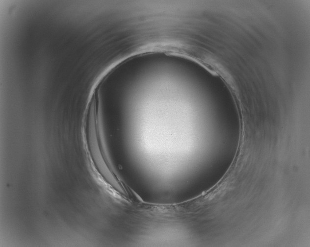 X0000072950960200608041304