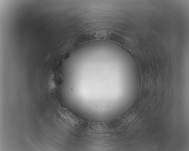 X0000072950962200608041303