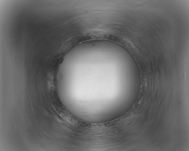 X0000072950964200608041303