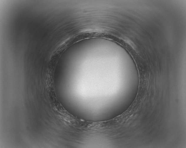 X0000072950967200608041303