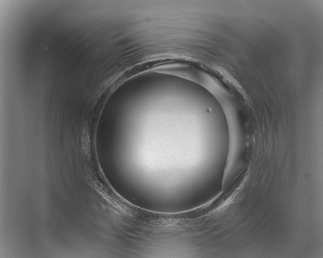 X0000072950969200608041303