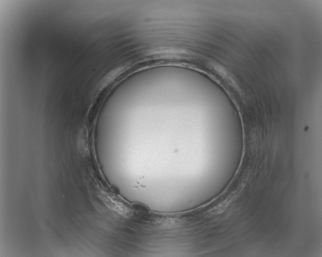 X0000072950970200608041303