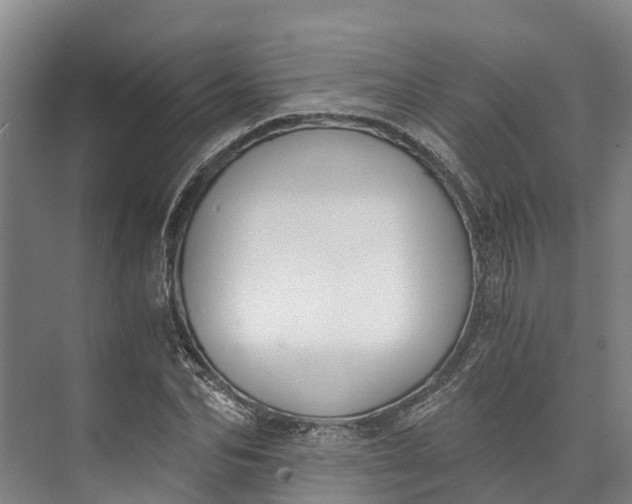 X0000072950974200608041303