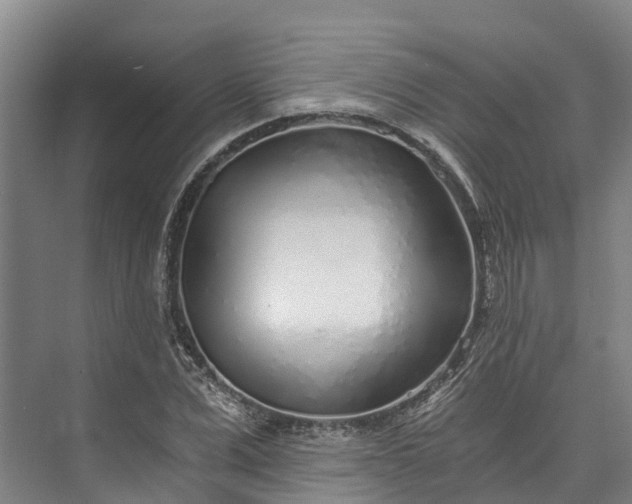 X0000072950975200608041303