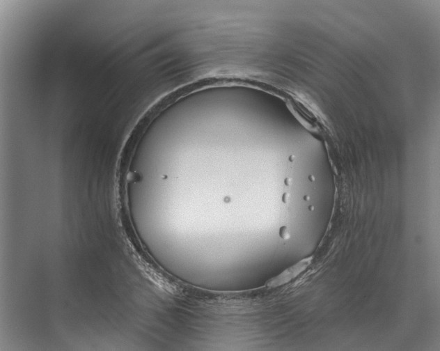 X0000072950976200608041303