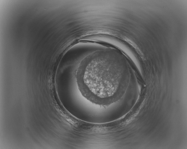 X0000072950977200608041303