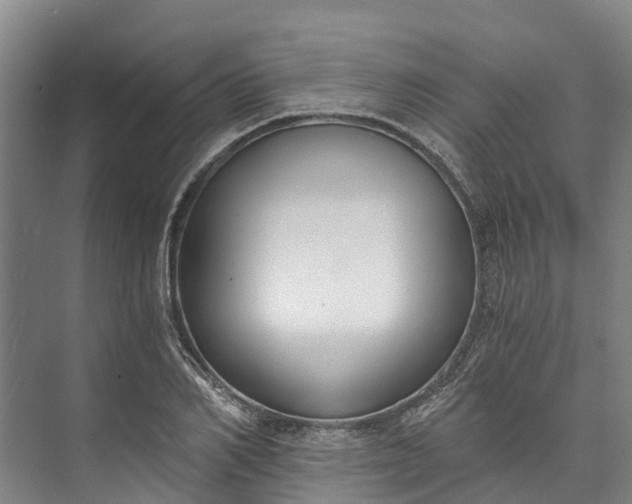 X0000072950982200608041303