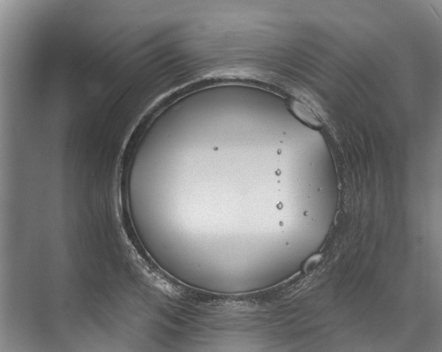 X0000072950984200608041303