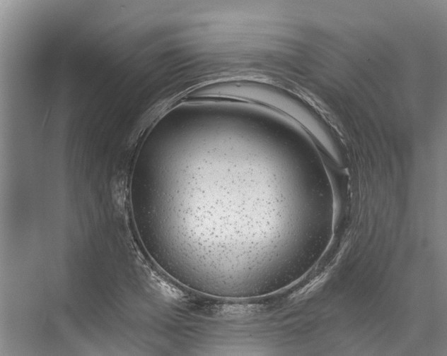 X0000072950985200608041303