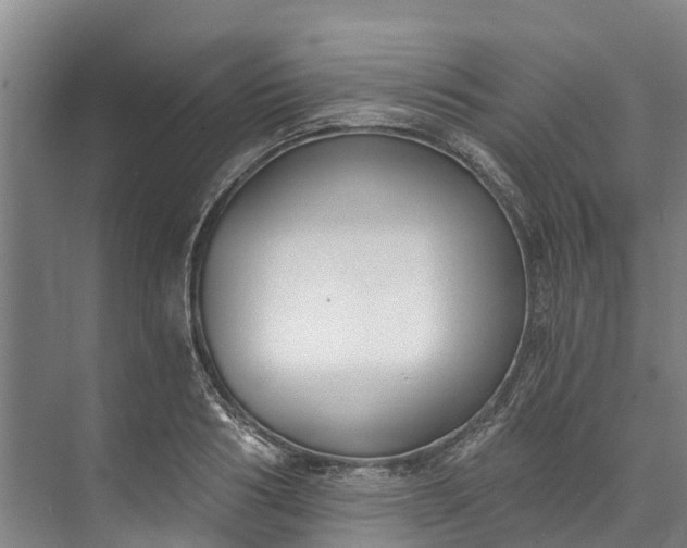 X0000072950986200608041303