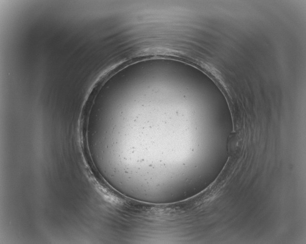 X0000072950987200608041303