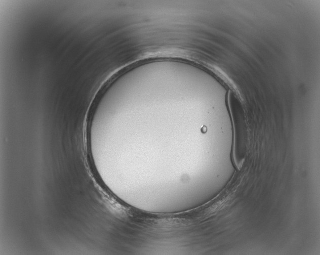 X0000072950988200608041303