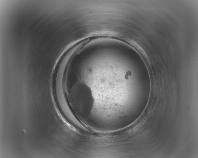 X0000072950989200608041303