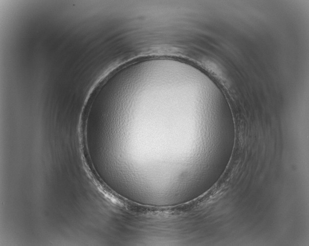 X0000072950990200608041303