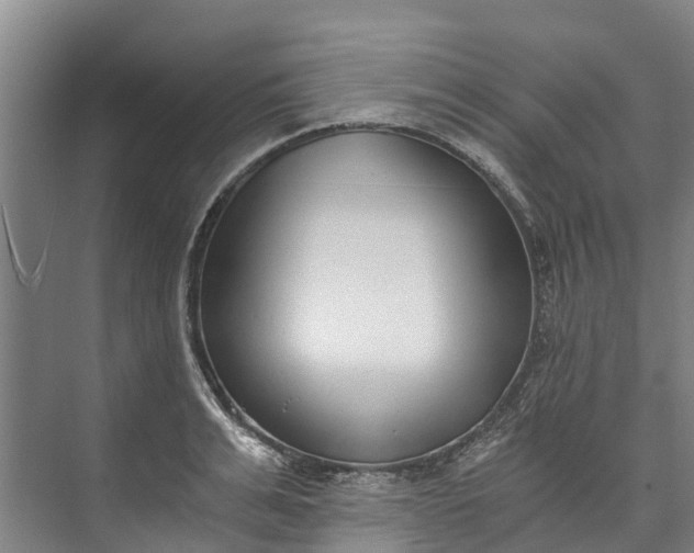 X0000072950991200608041303