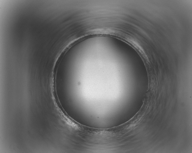 X0000072950992200608041303