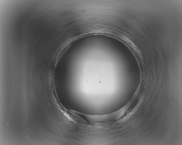 X0000072950993200608041303