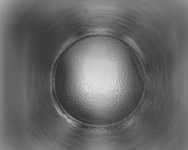 X0000072950994200608041303