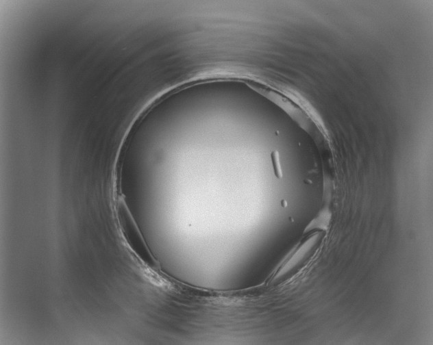 X0000072950996200608041303